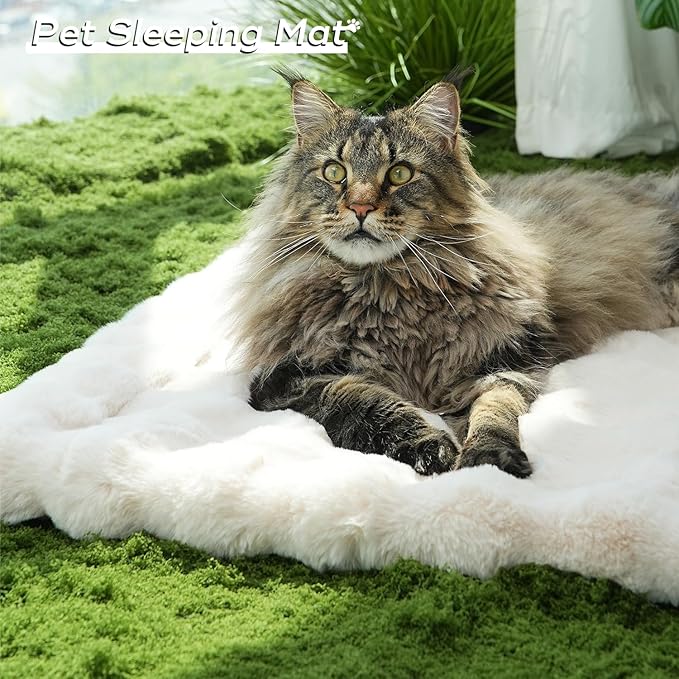 Plush Dog Bed Mat Faux Fur Cat Beds for Indoor Cats with Anti-Slip Bottom Kitten Self Warming Bed for Couch/Floor/Dog & Puppy Friendly 35 x 27 Inch Large White