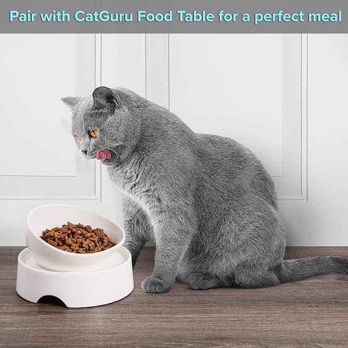 CatGuru Cat Food Bowl, Ceramic Bowls for Indoor Cats, No Spill Cat Feeding Bowl, Whisker Stress Free Kitten Bowls, Pet Bowls for Food and Water, Includes Silicone Non-Slip Mat (High-Low, White)