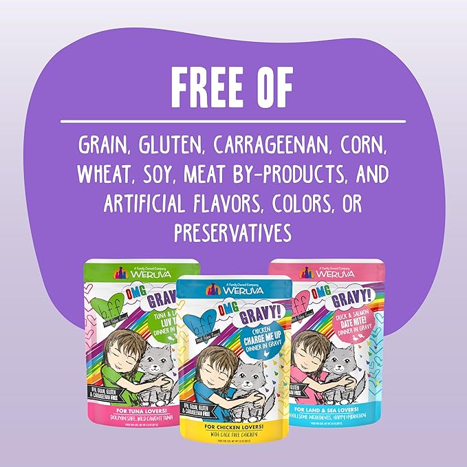 Weruva B.F.F. OMG - Best Feline Friend Oh My Gravy!, Chicken & Turkey Text Me with Chicken & Turkey in Gravy, 2.8oz Pouch (Pack of 12)