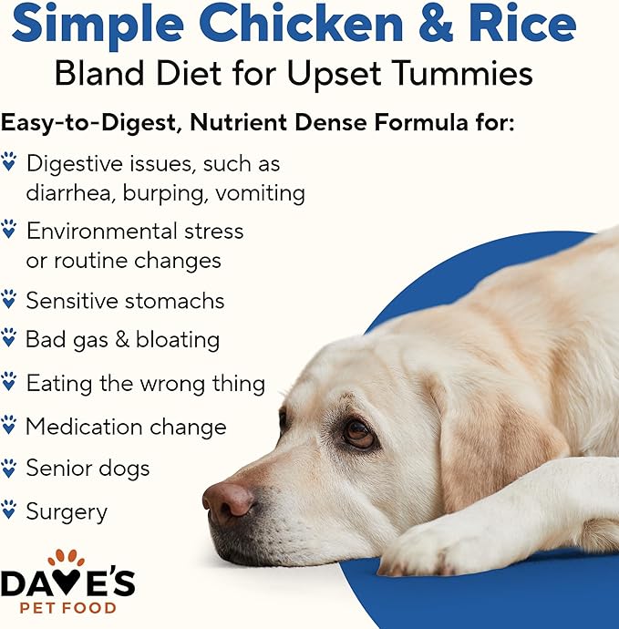 Dave's Pet Food Bland Diet Dog Food (Chicken & Rice), Sensitive Stomach, Easy to Digest, Gluten-Free, Digestive Care, Wet Canned, 13.2 oz (Case of 12)