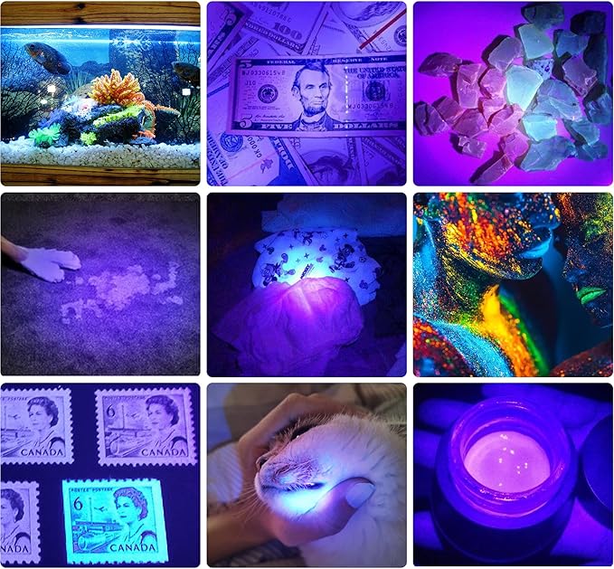 DARKBEAM UV 395nm Flashlight Ultraviolet led Light Blacklight Wood's lamp Portable 400nm Mini Detector for Dog/Cat Urine Pet Stains, Anti-counterfeiting Identification, Resin Curing，2 Pack