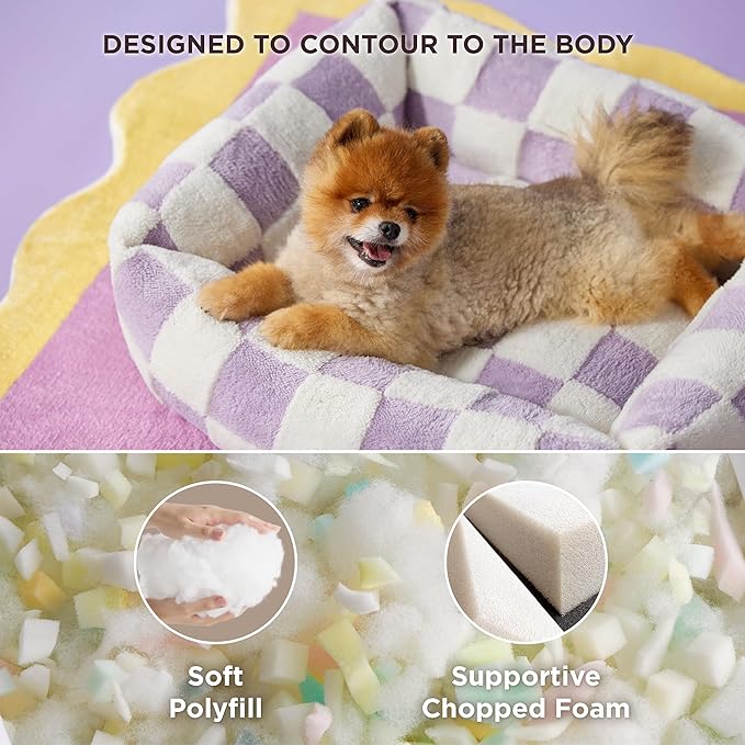 Lesure Cute Dog Bed for Small Dogs - Washable Puppy Beds,Cozy Rectangle Orthopedic Pet Sofa with Jacquard Shaggy Plush & Anti Slip Bottom,25x21x7inches