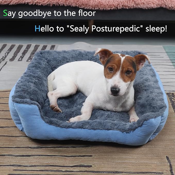 Rectangle Pet Beds for Small Dogs Washable,Fluffy Blue Cat Bed for Indoor Anti Slip Super Comfort Square Sherpa Pet Bed Fits up to 20 lbs Kitty or Puppy,20 inch