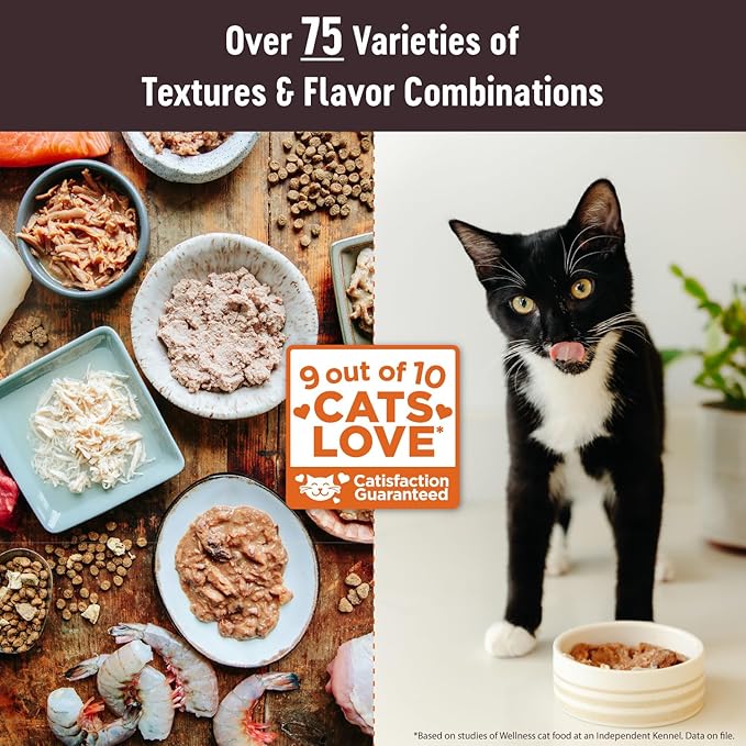 Wellness CORE Tiny Tasters Pate Adult Wet Cat Food, Natural, Protein-Rich, Grain Free, 1.75-Ounce Pouch, 12 Pack, (Duck)