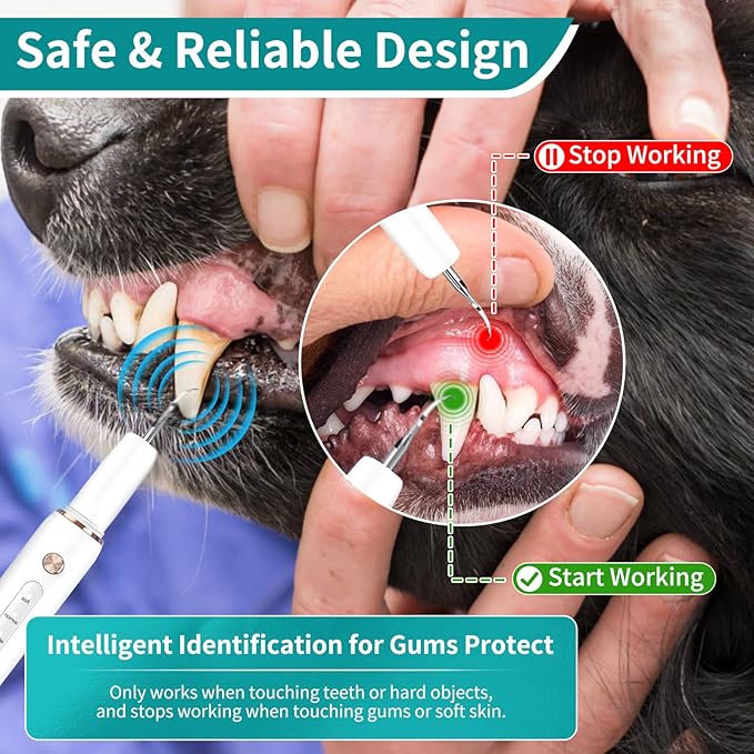 Dog Plaque Tartar Remover, Electric Toothbrush Teeth Cleaner Dental Care Kit for Dogs Cats- 5 Modes LED IPX6 Waterproof Auto-Stop Gum Protection USB Charge, 3 Brush Heads, Pet Teeth Cleaning Tools
