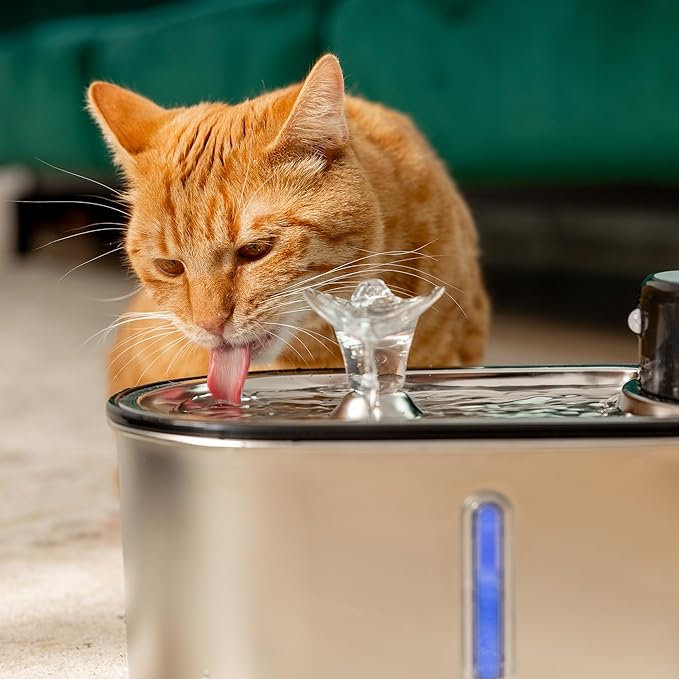 Replacement Filters for Stainless Steel Cat Water Fountain – 4 Months Set of Activated Carbon & Ion Exchange Resin for Fresh & Clean Drinking, Pack of 8 Filters