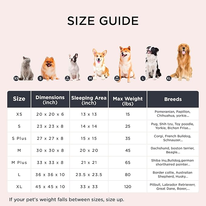 Bedsure Calming Dog Bed for Small Dogs - Donut Washable Small Pet Bed, 23 inches Anti-Slip Round Fluffy Plush Faux Fur Large Cat Bed, Fits up to 25 lbs Pets, Dark Grey