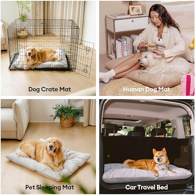 FUNNY FUZZY Washable Dog Bed,Reversible Plush Dog Crate Mat, Soft Fluffy Kennel Pad,Pet Sleeping Mattress for Large,Medium Sized Dogs Breeds,Indoor Cats,35.4" × 22.8", L,Charcoal Grey