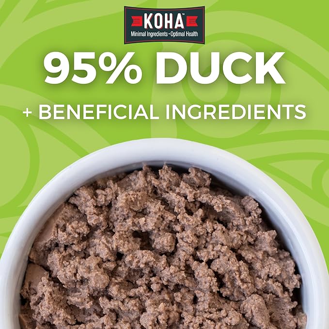 KOHA Limited Ingredient Diet Duck Pate for Cats - Single Meat Wet Cat Food for Sensitive Stomachs - Pate Cat Food with No Fillers - 5.5oz Pack of 24
