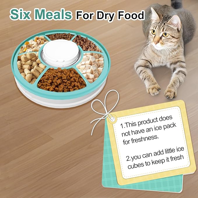 Automatic Cat Feeder, 6 Meal Timed Pet Dispenser Easily Programmable &Easy to Clean, Auto Feeder for Cats/Small Dogs (Green)