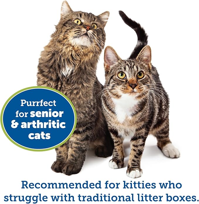 KittyGoHere Senior Cat Litter Box 2 Pack, Large Black Low Entrance Kitty Litter Box, Sized for Cats Comfort, Perfect for Senior and Arthritic Cats, Made in USA – Includes Long-Handle Jumbo Scoop