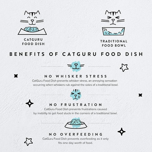 CatGuru Cat Bowls, Whisker Friendly Cat Food Bowl for Indoor Cats, Reliefs Whisker Fatigue, Wide Pet Bowl, Non Slip Pet Feeding Bowls, Shallow Kitten Dish (Ceramic, White)