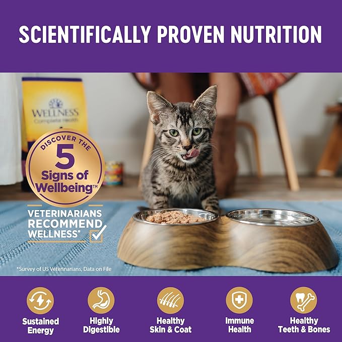 Wellness Complete Health Sliced Adult Wet Cat Food, Natural, Protein-Rich, Grain Free, 3 Ounce, 24 Pack, (Chicken Entrée)