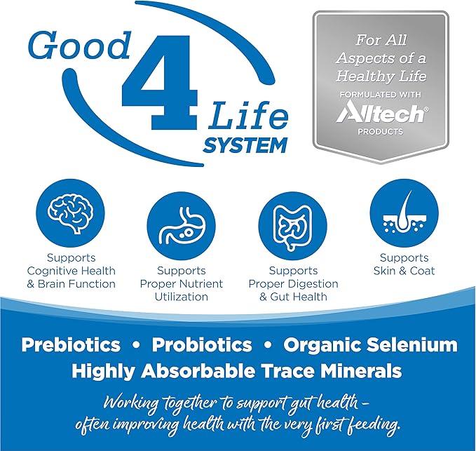 NutriSource Adult Dog Food, Made with Chicken and Rice, Large Breed, with Wholesome Grains, 30LB, Dry Dog Food