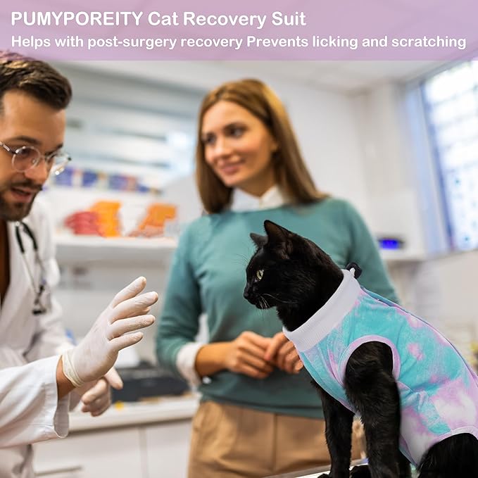 PUMYPOREITY Cat Recovery Suit for Surgery and Skin Diseases - Alternative to Cone of Shame, Female Spay Surgical Suit, Purple, M