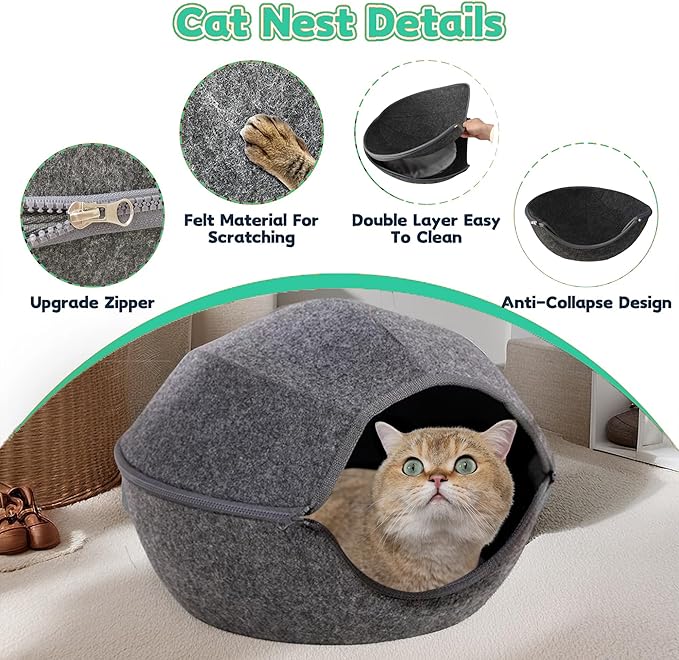 Donut Cat Tunnel Bed Peekaboo Cat Cave for Large Cats Up to 30 Lbs, Kitty Interactive Playing Tent House for Multiple Cats,Detachable,Scratch Resistant (2 in 1 Black, Medium - 20 Inch Diameter)
