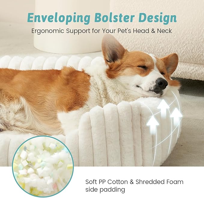 Orthopedic Dog Bed for Small Dogs & Medium Dogs - Washable Rectangle Pet Bed with Anti-Slip Bottom, Soft Calming Cat & Puppy Bed for Indoor Pets (30"x23"x7", Cream)