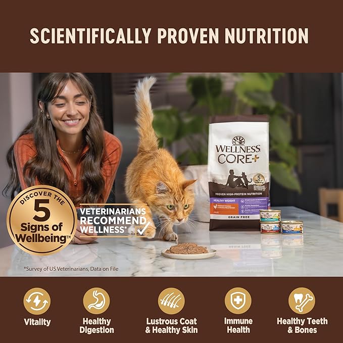 Wellness CORE+ Immune Health Pate Adult Wet Cat Food, Natural, Protein-Rich, Grain Free, 2.8 Ounce, 12 Pack (Tuna & Salmon)