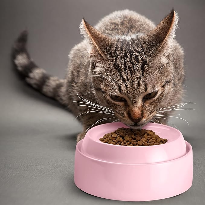 CatGuru Cat Bowls, Whisker Friendly Cat Food Bowl for Indoor Cats, Reliefs Whisker Fatigue, Wide Pet Bowl, Non Slip Pet Feeding Bowls, Shallow Kitten Dish (Set of Two, Pink)