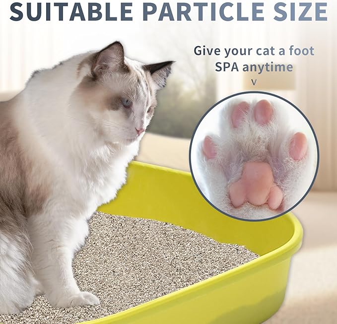 Natural Sodium-Based Raw Mineral Cat Litter | Dust-Free, Ultra Absorbent, Odor Control | Eco-Friendly, Low Tracking, Clumping Cat Litter 9.9LBS (9.9LBS_Platinum)