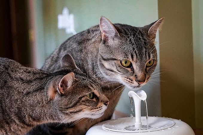 PURRoducts Purrfect Water Fountain for Cats and Small Dogs with Premium 5-Layer Filter That Lasts Up to Two Months. Splash Free and Tip-Proof Design. Low Water Auto Shut-Off Feature.