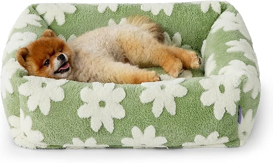 Lesure Cute Dog Bed for Small Dogs - Washable Puppy Beds,Cozy Rectangle Orthopedic Pet Sofa with Jacquard Shaggy Plush & Anti Slip Bottom,25x21x7inches