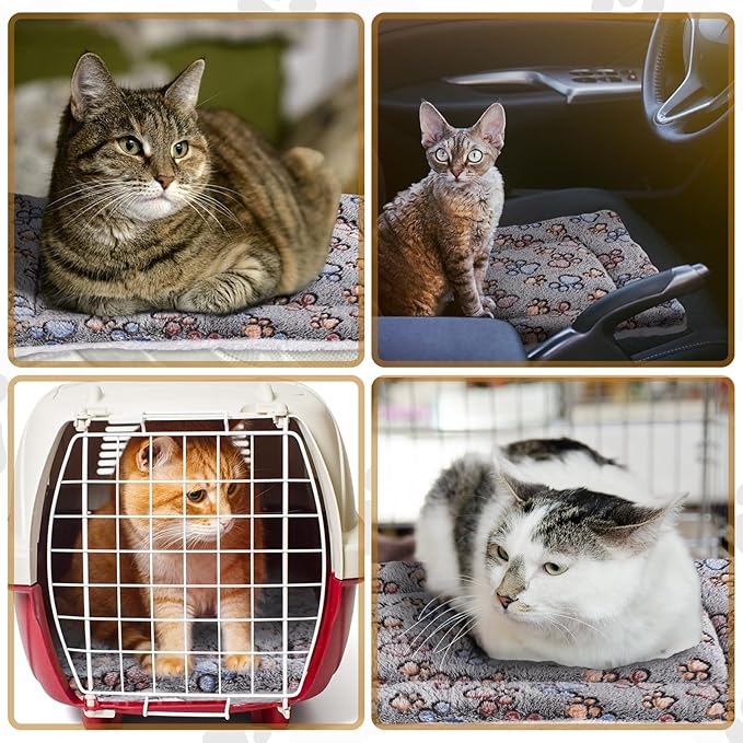 4 Pack Ultra Soft Dog Cat Bed Mat with Cute Prints Reversible Fleece Dog Crate Kennel Pad Cozy Washable Thickened Hamster Guinea Pig Pet Bed Mat for Small Animals(13 x 19 Inches,Gray)