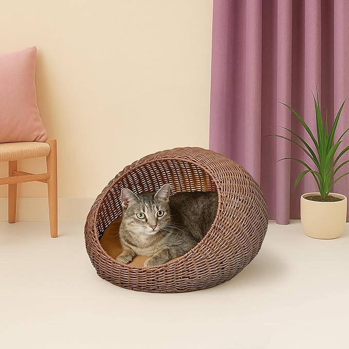 CBD3000B Fiora 19.5" x 18" Modern Circular Faux Wicker Pet Bed with Machine-Washable Cushion, Cat Beds for Indoor Cats, Brown