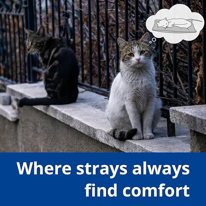 Outdoor Heated Cat Bed, Soft Pet Heating Pad with Steel-Wrapped Cord, Outside Pet Warmer for Feral Cats and Dogs, 15.7" x 11.8", 30 Watts