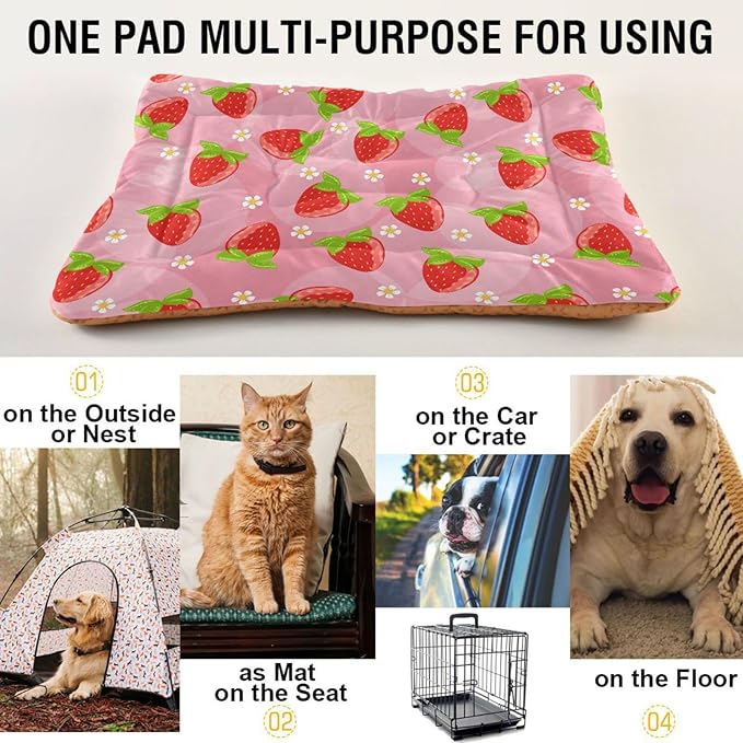Pet Bed Strawberry Fruits Dog Bed Mat Absorbing Non Slip Pad Pet Sleeping Mat for Small, Medium, and Large Dogs Puppy Cat 36 in x 24 in