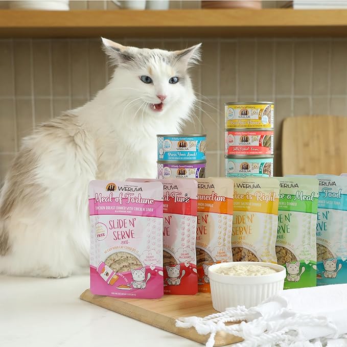 Weruva Wet Cat Food, Big Time Bonus Round Pate Variety Pack, 10oz Can, Pack of 12