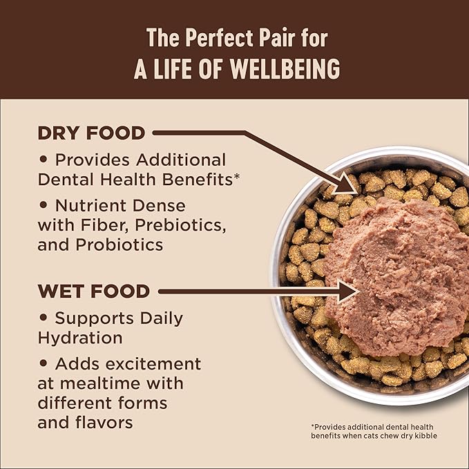 Wellness CORE+ Digestive Health Pate Adult Wet Cat Food, Natural, Protein-Rich, Grain Free, 3 Ounce, 12 Pack (Chicken)