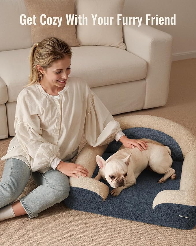 Blissful Diary Foam Dog Bed Medium Size, Pet Sofa with Washable Cover and Waterproof Liner, Soft Teddy Plush with Rainbow Design (Blue)