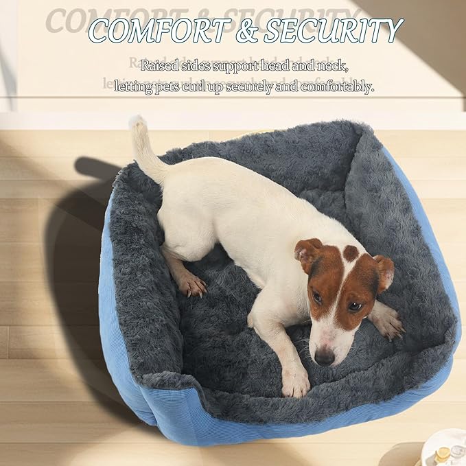 Rectangle Pet Beds for Small Dogs Washable,Fluffy Blue Cat Bed for Indoor Anti Slip Super Comfort Square Sherpa Pet Bed Fits up to 20 lbs Kitty or Puppy,20 inch