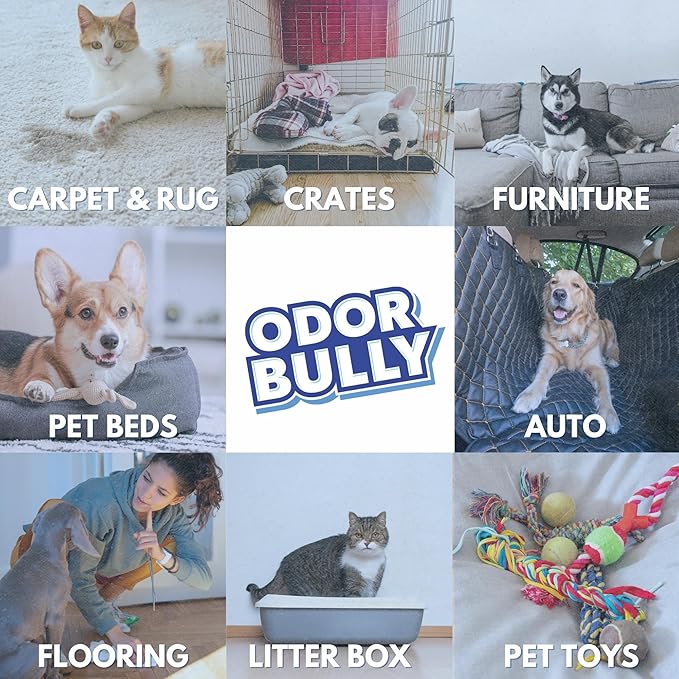 Whip-It Odor Bully Instant Odor Neutralizer - Powerful Plant-Based Formula | Eliminate Stubborn Odors from Home and Car | Fresh Laundry Scent | Dual Purpose Odor Control/Cleaner - 128 oz