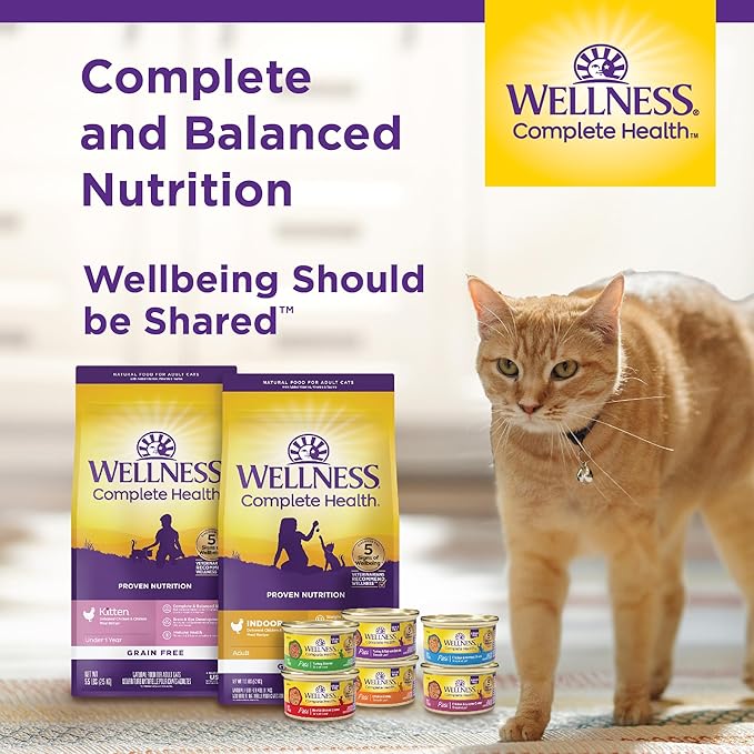 Wellness Complete Health Gravy & Minced Adult Wet Cat Food, Natural, Protein-Rich, Grain Free, 3 Ounce, 12 Pack, (Salmon, Tuna, and Chicken Variety Pack)