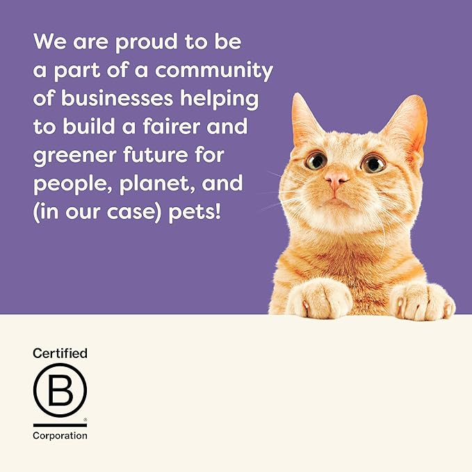 Applaws Natural Wet Canned Cat Food, Made with Limited and Natural Ingreidents, Real Protein with No Artificial Additives, Variety Pack in Broth (12 x 2.47oz Cans)