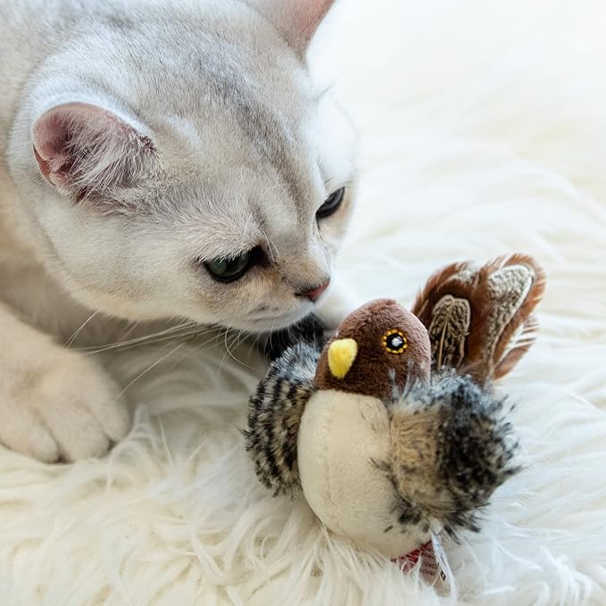 Gigwi Chirping Bird Cat Toy for Indoor Cats, Interactive Hangable Bird Cat Toy with Real Bird Sound and Feather, Automatic Bird Toy for Cats Exercise & Kicker to Self Play（No Flapping）