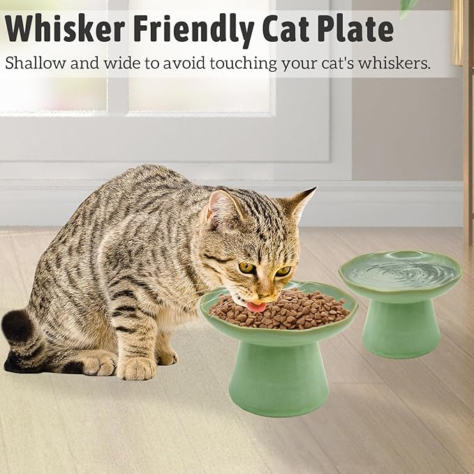 VCEPJH Elevated Shallow Cat Bowls 6.1in Ceramic Cat Food Plate Pack of 2 Raised Cats Dish Flat Anti Whisker Fatigue Wide Pet Food & Water Feeder for Indoor Kitty Kitten (Green)