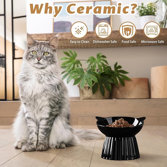 Ceramic Raised Cat Bowl，Tilted Raised Bowl Anti Vomit for Indoor Cats Whisker Friendly Pet Feeder for Cats Puppies, Microwave and Dishwasher Safe (Black)
