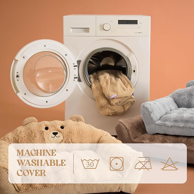 LE SURE Cute Cat Couch for Pets - Fluffy Original Bear Design Cat Beds for Indoor Cats, Fuzzy Cats Sofa with Removable Washable Cover, Supportive Pet Chair, 24inch, Almond