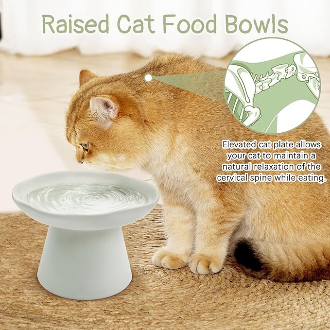 VCEPJH Raised Cat Food Bowls Shallow Cat Plate Ceramic Elevated Cats Dish 6.1in Flat Anti Whisker Fatigue Wide Pet Food & Water Feeder for Indoor Kitty Kitten (White)
