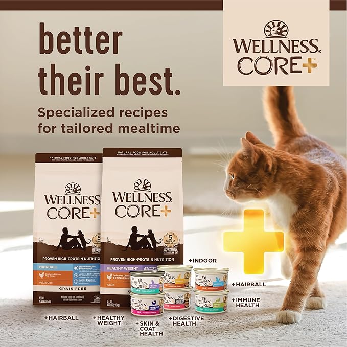 Wellness CORE+ Digestive Health Pate Adult Wet Cat Food, Natural, Protein-Rich, Grain Free, 3 Ounce, 12 Pack (Whitefish)