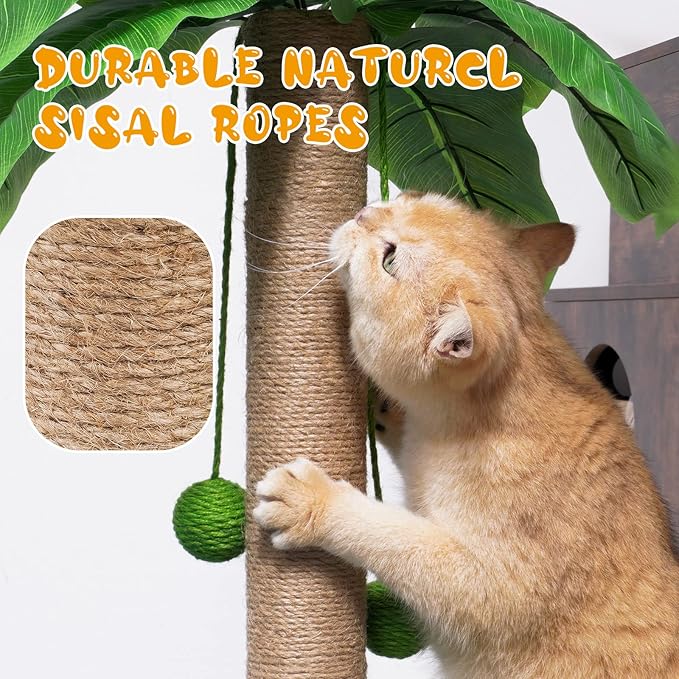 ZooZoo Cat Scratching Post, Cat Coconut Palm Tree for Indoor Kittens with Natural Sisal Scratch Pole Hanging Sisal Ropes and Balls, Cute 27" Tall Cat Scratcher for Cat and Kittens
