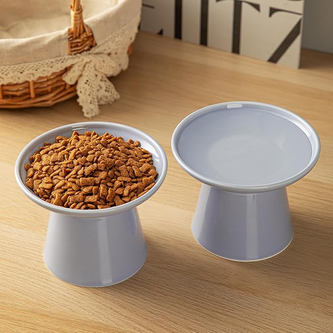6.2 Inch Extra Wide Elevated Ceramic Cat Bowls, Food and Water Bowl Set for Elder Big Cats Small Dogs, Raised Design for Pet Easy Eating, Protect Cat's Spine Set of 2(Light Purple)