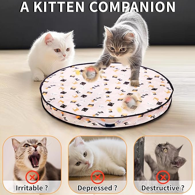 2 Packs Interactive Cat Toy Ball - Rechargeable Automatic Cat Toys for Indoor Cats, Self-Rolling Hunting Game Toy with Quiet Motor & USB-C Charging