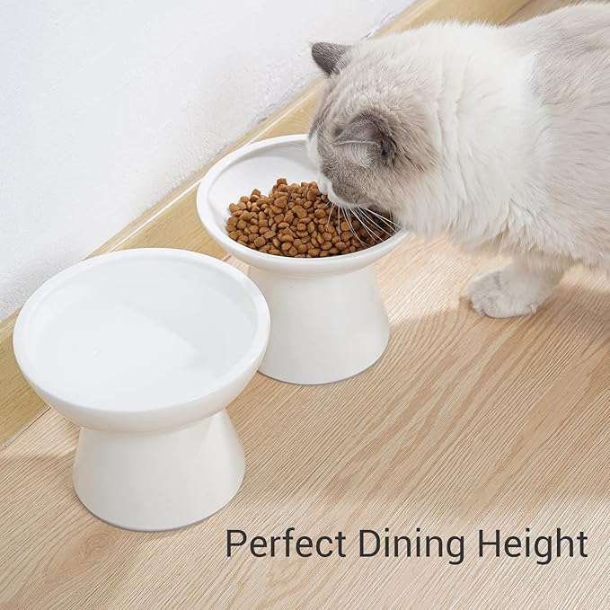 2 Elevated Ceramic Cat Bowls Extra Wide for Food & Water – Whisker Fatigue Shallow Food Dish, Lead & Cadmium-Free, Raised Height for Cats and Dogs, Two Different Depth Bowls, White