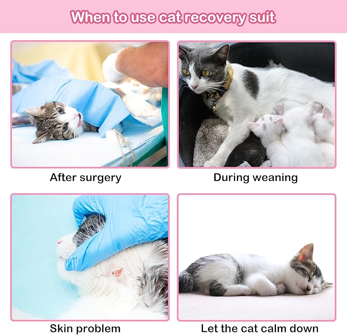 PUMYPOREITY Cat Recovery Suit for Surgery and Skin Diseases - Alternative to Cone of Shame, Female Spay Surgical Suit, Purple, M