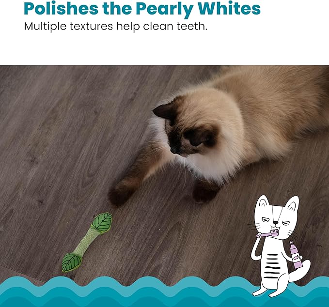 Petstages Fresh Breath Mint Stick Dental Cat Chew Toy