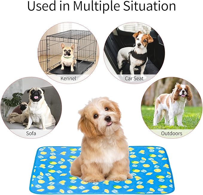 NACOCO Summer Pet Cooling Mat - Cat Dog Cushion Pad Sleeping Cool Lemon Comfortable Soft for Pets Kids and Adults (Dark Blue Lemon, S)